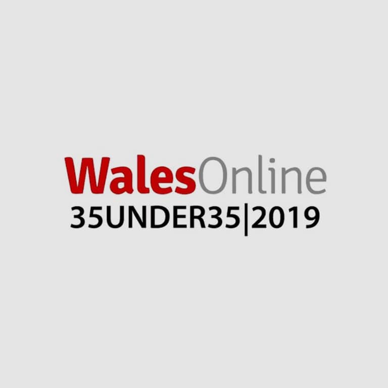 WalesOnline 35 Under 35 2019 logo